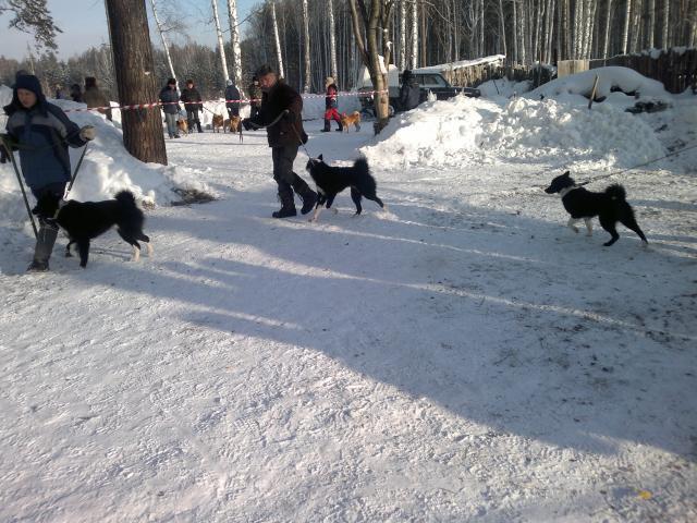 2013-01-26-439.jpg